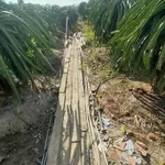 Bán đất thổ cư 660m2 ấp Mỹ Xuân, xã Dương Xuân Hội, Châu Thành, Long An giá 300 triệu - Ảnh thu nhỏ 1