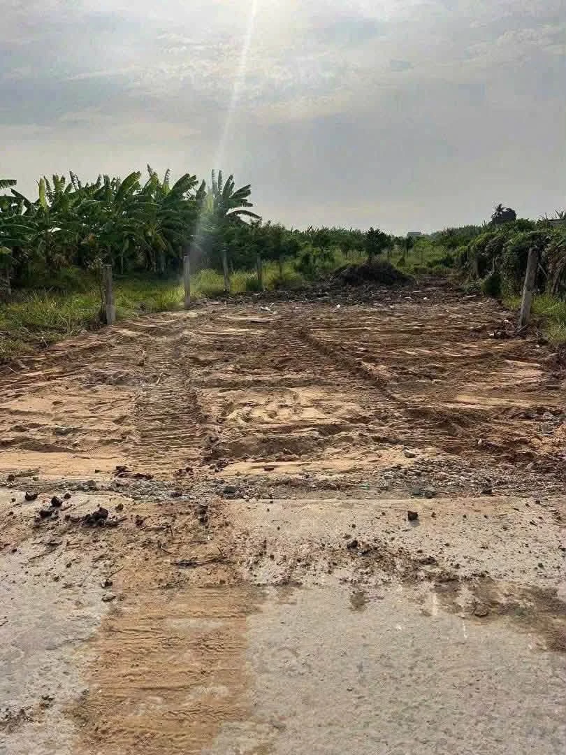 Bán đất thổ cư 7,5x28m đường 3,5m giá 579 triệu tại xã Tầm Vu, Tây Ninh - Ảnh thu nhỏ 3