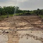 Bán đất thổ cư 7,5x28m đường 3,5m giá 579 triệu tại xã Tầm Vu, Tây Ninh - Ảnh thu nhỏ 3