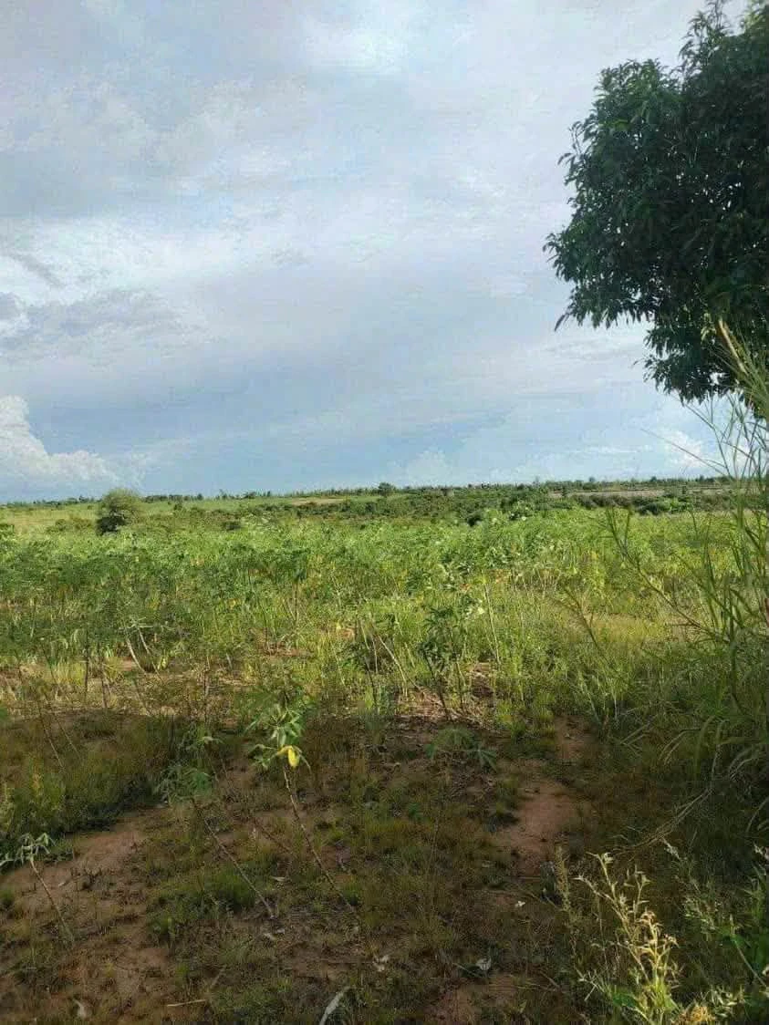 Bán 11.600m2 đất nông nghiệp view suối Buôn Đôn, Đắk Nông - Ảnh thu nhỏ 4