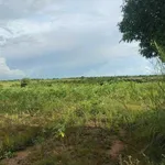 Bán 11.600m2 đất nông nghiệp view suối Buôn Đôn, Đắk Nông - Ảnh thu nhỏ 4