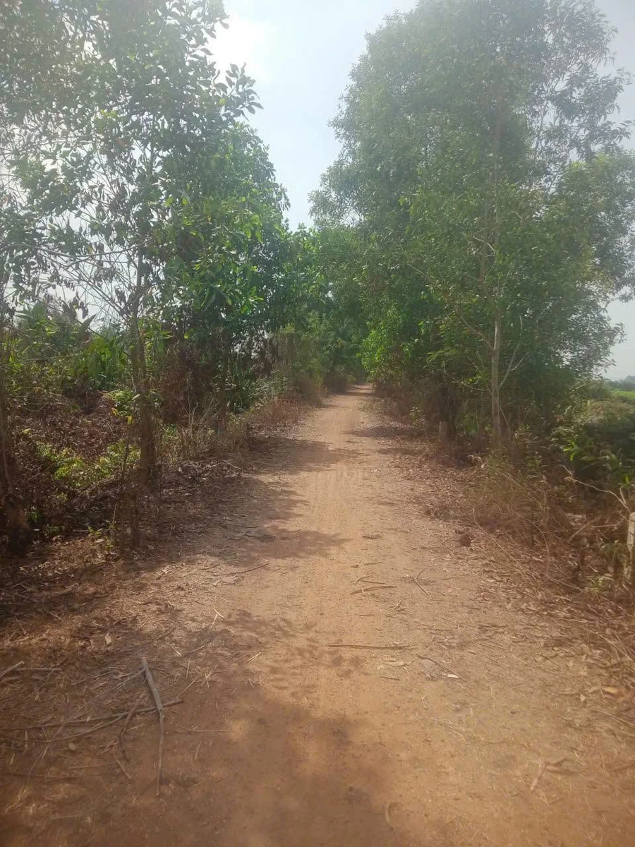 Bán đất 10ha Bến Mương Thạnh Đức Gò Dầu Tây Ninh - Ảnh thu nhỏ 4