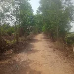 Bán đất 10ha Bến Mương Thạnh Đức Gò Dầu Tây Ninh - Ảnh thu nhỏ 4