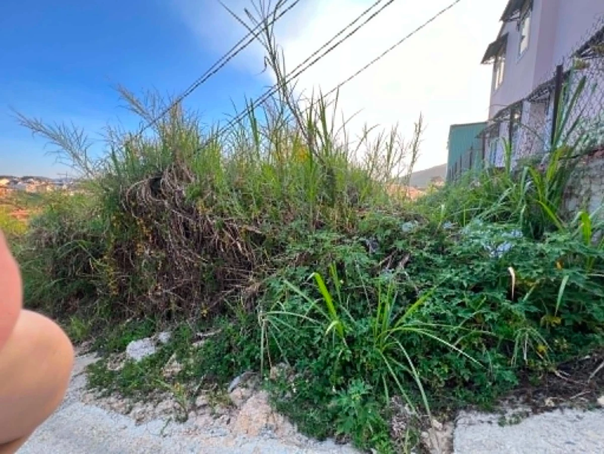 Bán đất Ngô Thì Sỹ, Xuân Hương, Đà Lạt, 90m², 700 triệu - Ảnh thu nhỏ 2