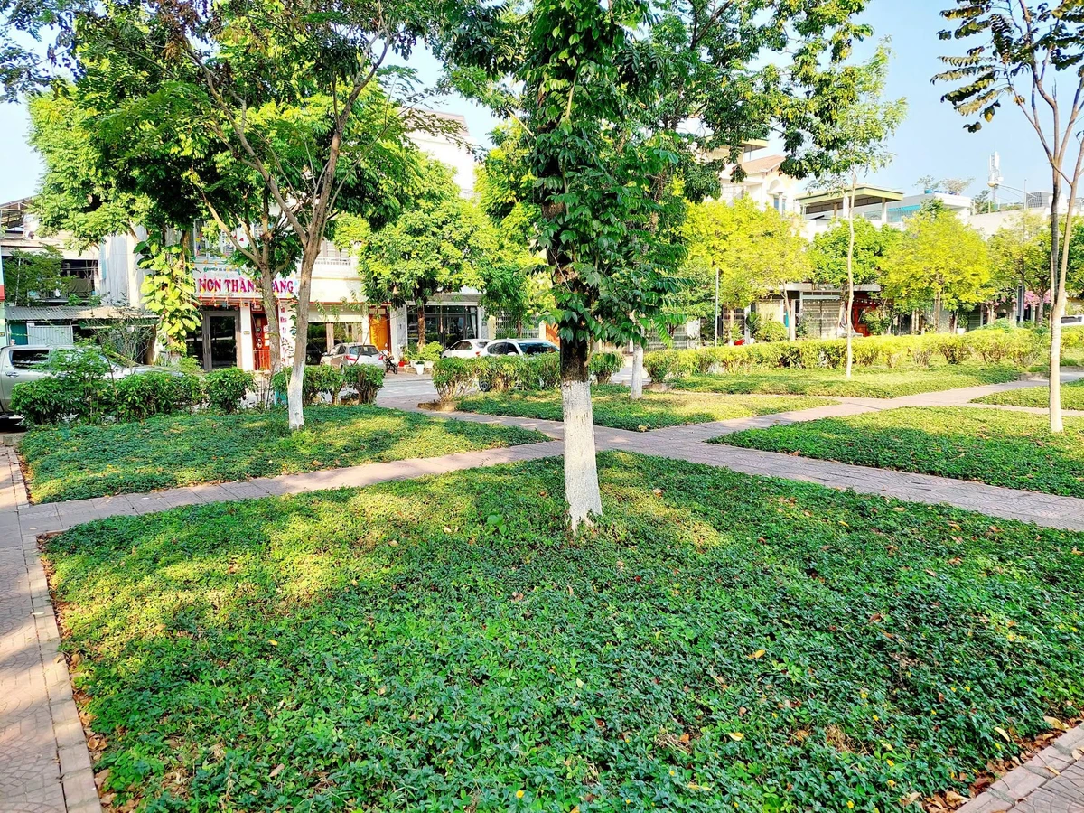 Bán nhà 2 tầng 4PN 108,75m² Đặng Thai Mai Thủ Đức - Ảnh thu nhỏ 2