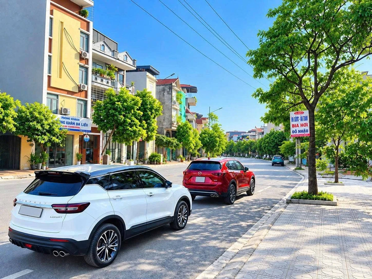 Bán đất nền 1.115m² mặt tiền 32m Hà Lầm Hạ Long - Ảnh thu nhỏ 4