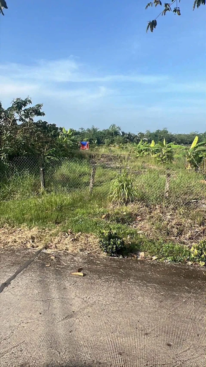 Bán 1000m² đất nền Hoà Phú, Châu Thành, Long An - Ảnh thu nhỏ 2