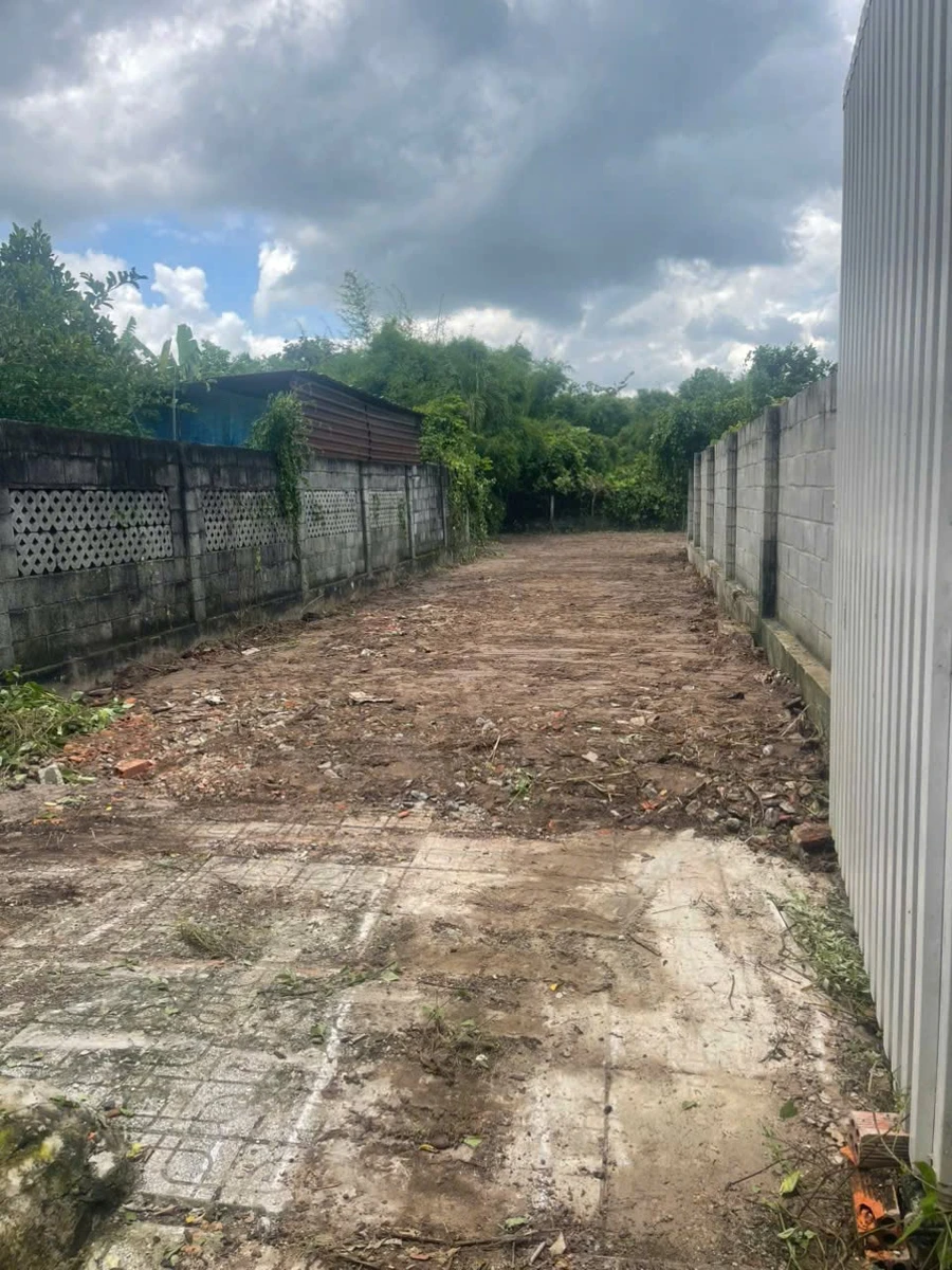 Bán đất Củ Chi 1000m2 giá 6 tỷ gần Tỉnh lộ 8 - Ảnh thu nhỏ 2