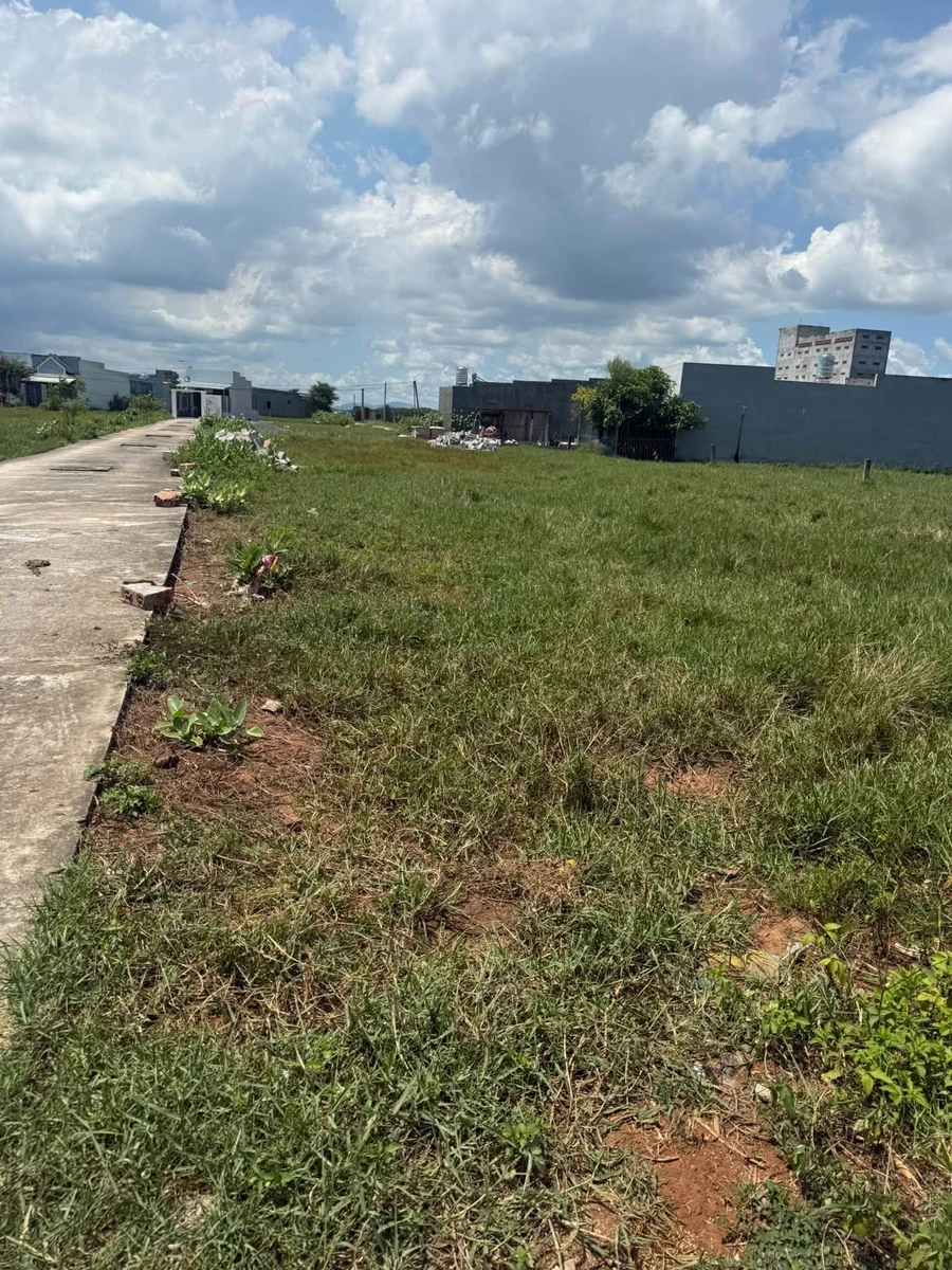 Bán 40 lô đất 100m² Phong Nẫm Bình Thuận 250 triệu/lô - Ảnh thu nhỏ 2