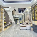 Bán nhà 70,4m2 3PN 4WC Tân Đông Hiệp gần An Phú 5,88 tỷ - Ảnh thu nhỏ 4