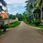 Bán 4.700m² đất vườn dừa tại Vĩnh Long - Ảnh thu nhỏ 3