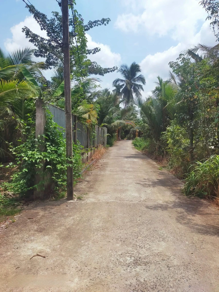 Bán đất Vườn dừa 3,337 m² Nhơn Thạnh Bến Tre - Ảnh 1