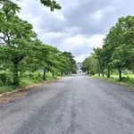 Bán đất thổ cư 7,2x21,5m đường số 4 khu Đồng Tâm Green City, phường Long An, Tây Ninh - Ảnh thu nhỏ 1