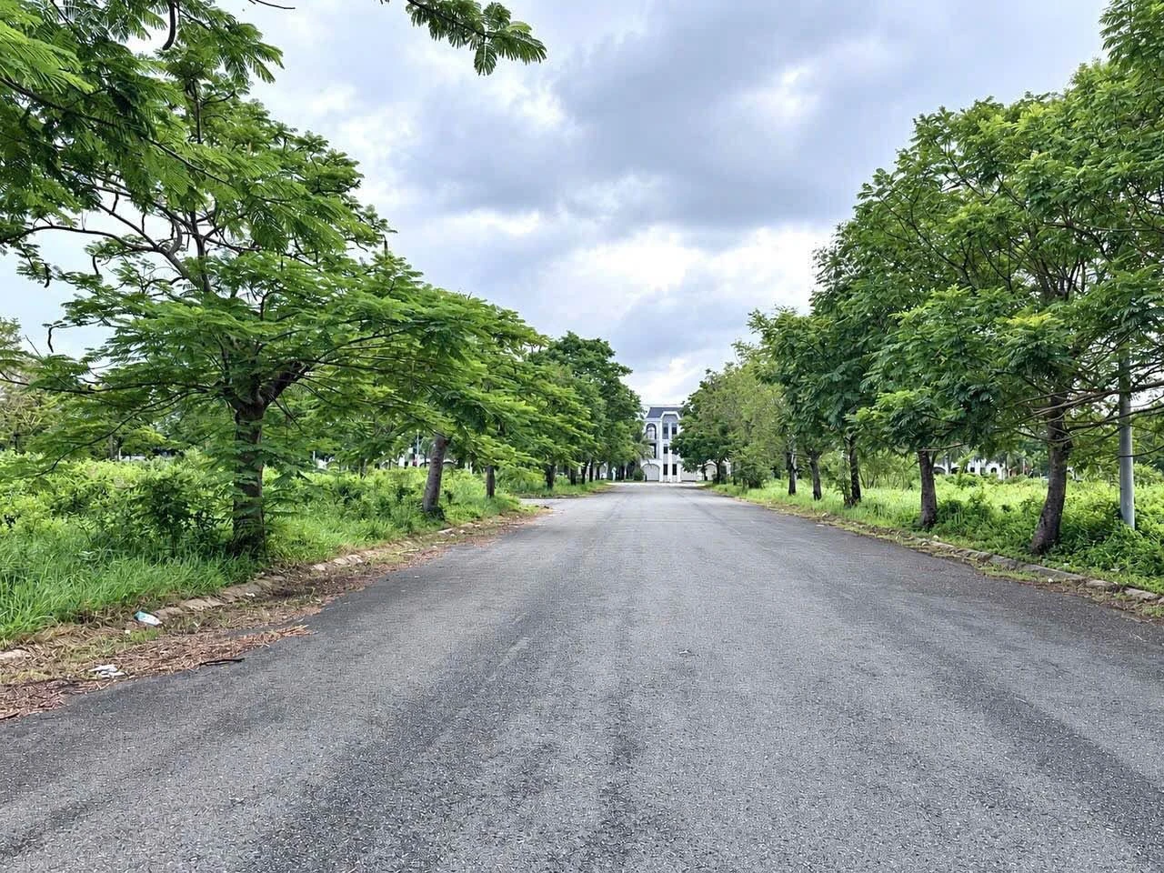 Bán đất thổ cư 7,2x21,5m đường số 4 khu Đồng Tâm Green City, phường Long An, Tây Ninh - Ảnh 1