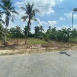 Bán đất tại xã Phú Quới, huyện Long Hồ, Vĩnh Long, giá siêu hời 3,9 tỷ, 1169,2 m2 - Ảnh thu nhỏ 9