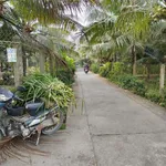 Bán đất gần cầu gạch 2 QL57B đường vào 300m - Ảnh thu nhỏ 1
