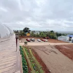 Bán đất view đồi hoàng hôn 630m² Buôn Ma Thuột 4,5 tỷ - Ảnh thu nhỏ 5