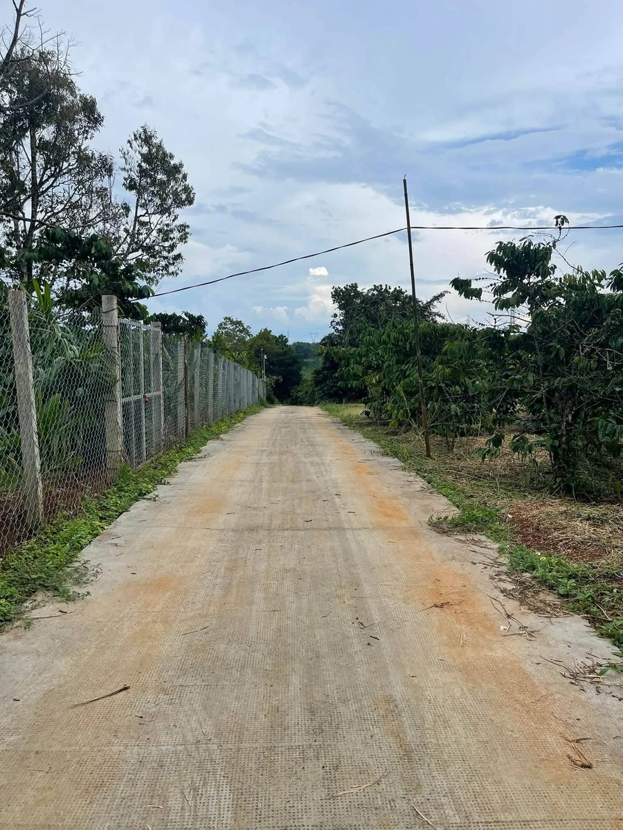 Bán đất 20x33m mặt tiền đường bê tông giá 570 triệu tại Nghĩa Phú, Gia Nghĩa, Lâm Đồng - Ảnh thu nhỏ 2