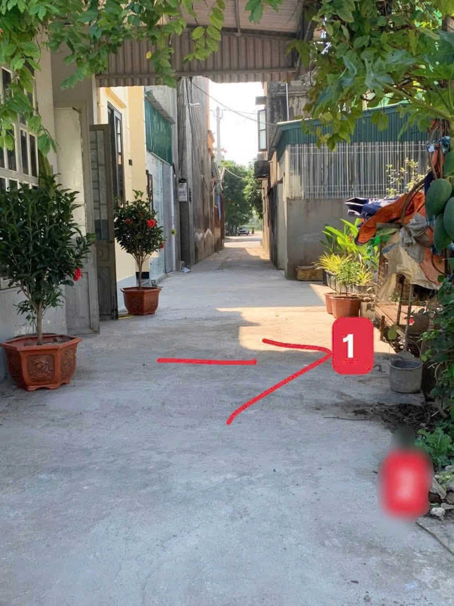 Bán lô đất ngõ phố Mai Độ, Hải Dương 48.8m2, 1,2 tỷ - Ảnh 1
