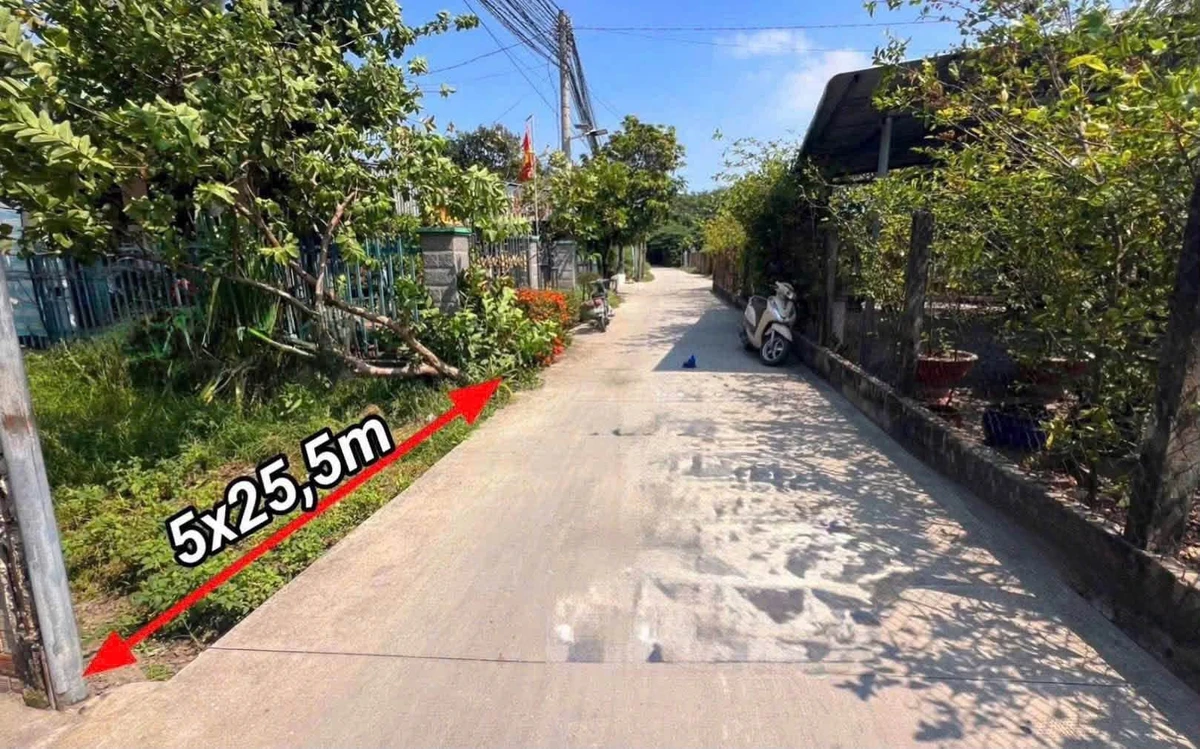 Bán đất Hóc Môn gần THPT Võ Văn Tần 127.5m² sổ riêng - Ảnh thu nhỏ 2