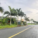Bán 2 lô đất mặt tiền Nguyễn Hoàng Anh, 125m2, Tân Trụ 1,3 tỷ - Ảnh thu nhỏ 2