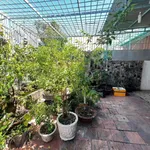 Bán nhà 3 phòng 185m2 Bình Hưng Phan Thiết 4 tỷ 9 - Ảnh thu nhỏ 4