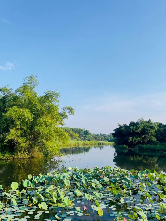 SIÊU PHẨM LẠC THỦY - GIÁP NINH BÌNH - CÁCH HÀ NỘI 65KM - Ảnh thu nhỏ 5