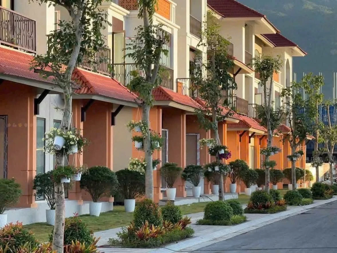 Bán biệt thự song lập Elite Island 180m² Nha Trang 16.565 tỷ - Ảnh 1