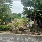 Bán 2 lô đất 100m² khu tái định cư Bến Xe Đức Long - Ảnh thu nhỏ 1