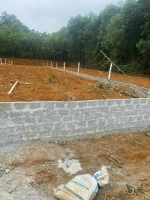 Bán đất tại xã Thạch Lập, 470 triệu, 333 m2, mặt tiền 8m, ngõ 9m - Ảnh thu nhỏ 4