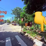 Bán đất 2 mặt tiền 98m2 khu TĐC Hoà Hiệp Nam Đà Nẵng - Ảnh thu nhỏ 2