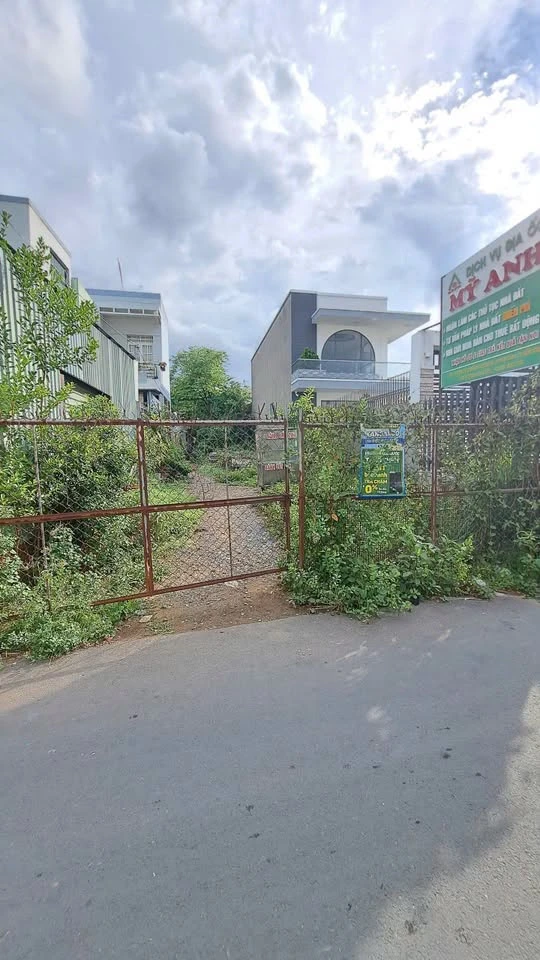 Bán nền đất 263.9m2 giáp đường Nguyễn Thị Định, Tân Phú - Ảnh thu nhỏ 3