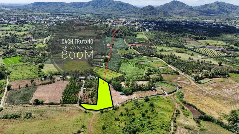 Bán 2,5 sào đất view Bến Mỹ Thuận, 1 tỷ 90 triệu