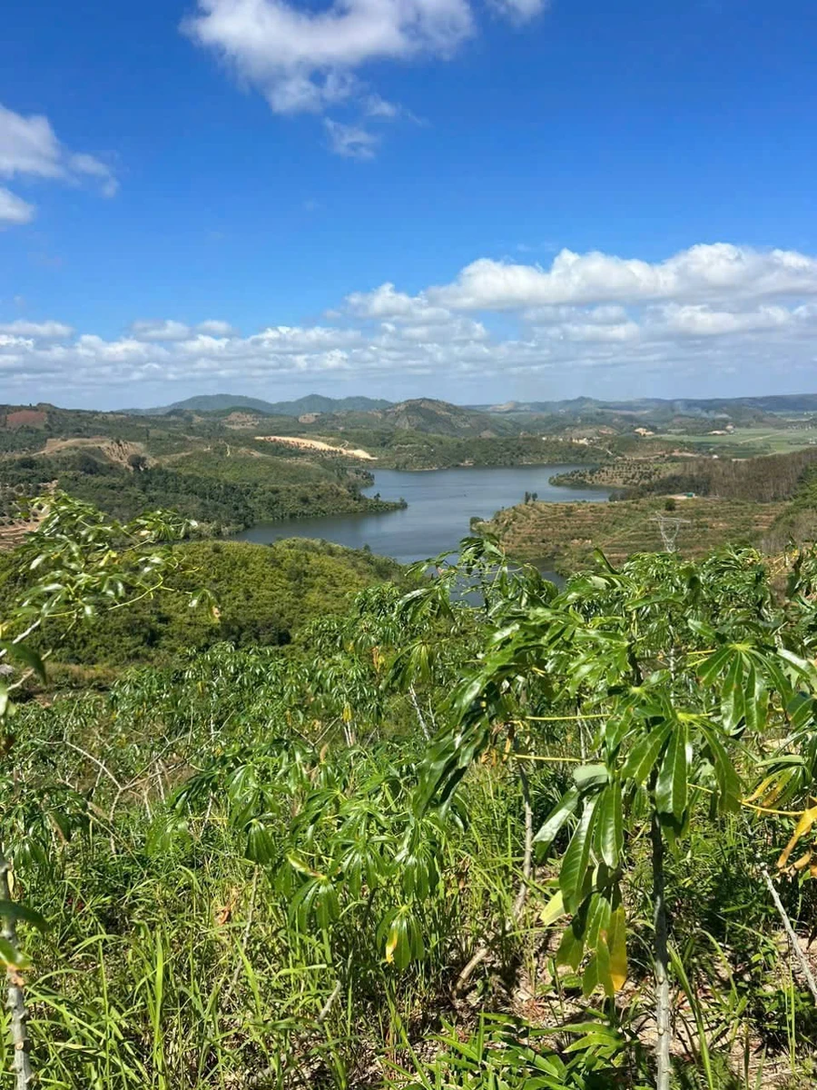 Bán 3 hectare đất Đắk Nông 450 triệu - Ảnh 1
