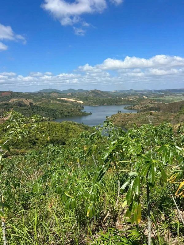 Bán 3 hectare đất Đắk Nông 450 triệu