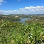 Bán 3 hectare đất Đắk Nông 450 triệu - Ảnh thu nhỏ 1