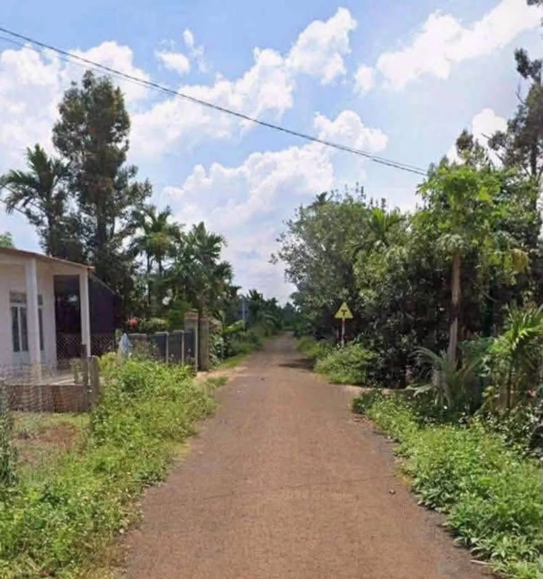 Bán đất đầu tư Tân Lập, 230m² (10x23m), 2 tỷ - Ảnh 1