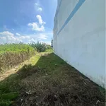 Bán đất thổ 10m² Phường Long An, Tân An - Ảnh thu nhỏ 3