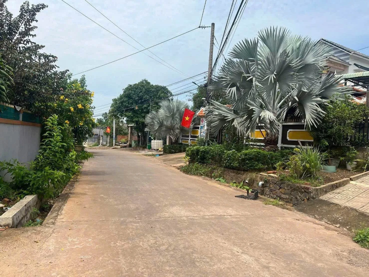 Bán đất thổ cư 15500m² mặt tiền Trần Hưng Đạo, Bình Dương 820 triệu - Ảnh 1