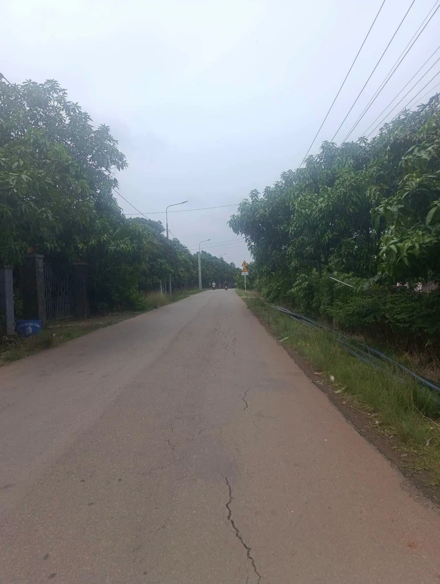 Bán đất thổ cư 145m² Xã La Ngà Đồng Nai 590 triệu - Ảnh thu nhỏ 3