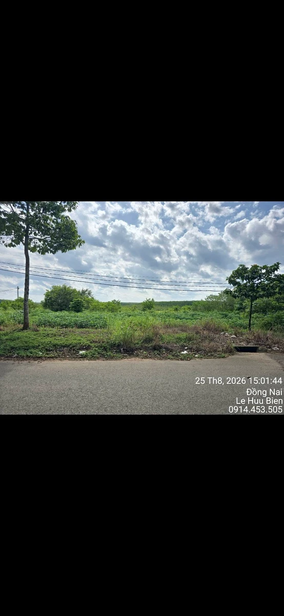 Bán đất D3 khu Bàu Ké 120m² giá 1 tỷ 3 - Ảnh thu nhỏ 4