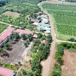Bán đất 300m² full sổ hồng gần Pleiku, Gia Lai 299 triệu - Ảnh thu nhỏ 2
