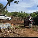 Bán đất Komleo 4 sào, Cần Giờ - Ảnh thu nhỏ 4