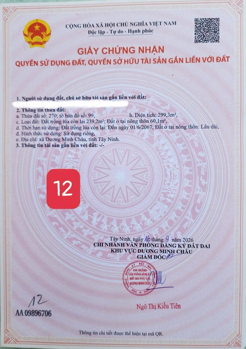 Đất nền 300m² Xã Phan Tây Ninh 319 triệu, mặt tiền 20m - Ảnh thu nhỏ 5