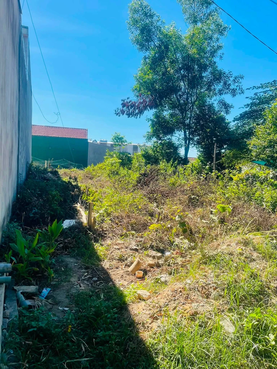 Bán lô đất mặt tiền 138m² đường Chị Tư cháo vịt - Ảnh thu nhỏ 2
