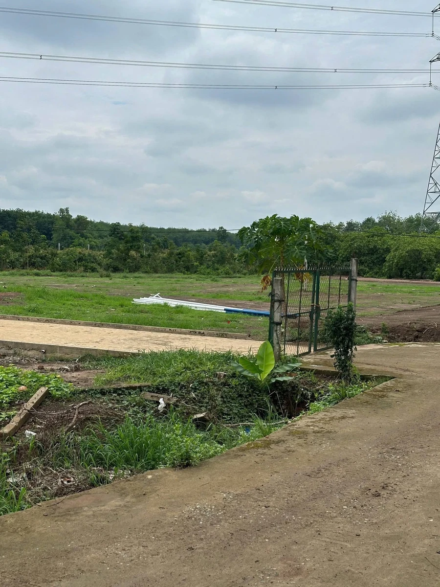 Bán đất nước ngoài 1.000m² Nha Bích, Đồng Nai - Ảnh thu nhỏ 4