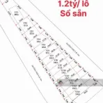 2 mặt tiền nhựa Thị trấn Phước Hải - gần biển Phước Hải - khu dân cư - 136m2, 5x28m - 1,2 tỷ - Ảnh thu nhỏ 12