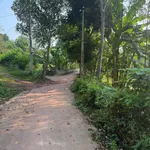 Bán mảnh vườn 4000m² tại Yên Thế, Bắc Ninh - Ảnh thu nhỏ 2