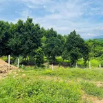 Bán đất Khánh Hòa 110m2 thổ cư hơn 100 triệu - Ảnh thu nhỏ 2