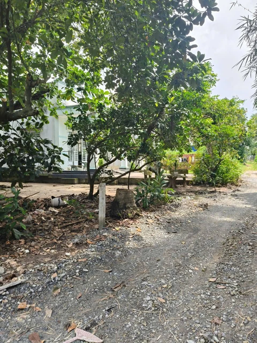 Bán đất 70m² tại Trường Hòa, Tây Ninh 250 triệu - Ảnh thu nhỏ 3